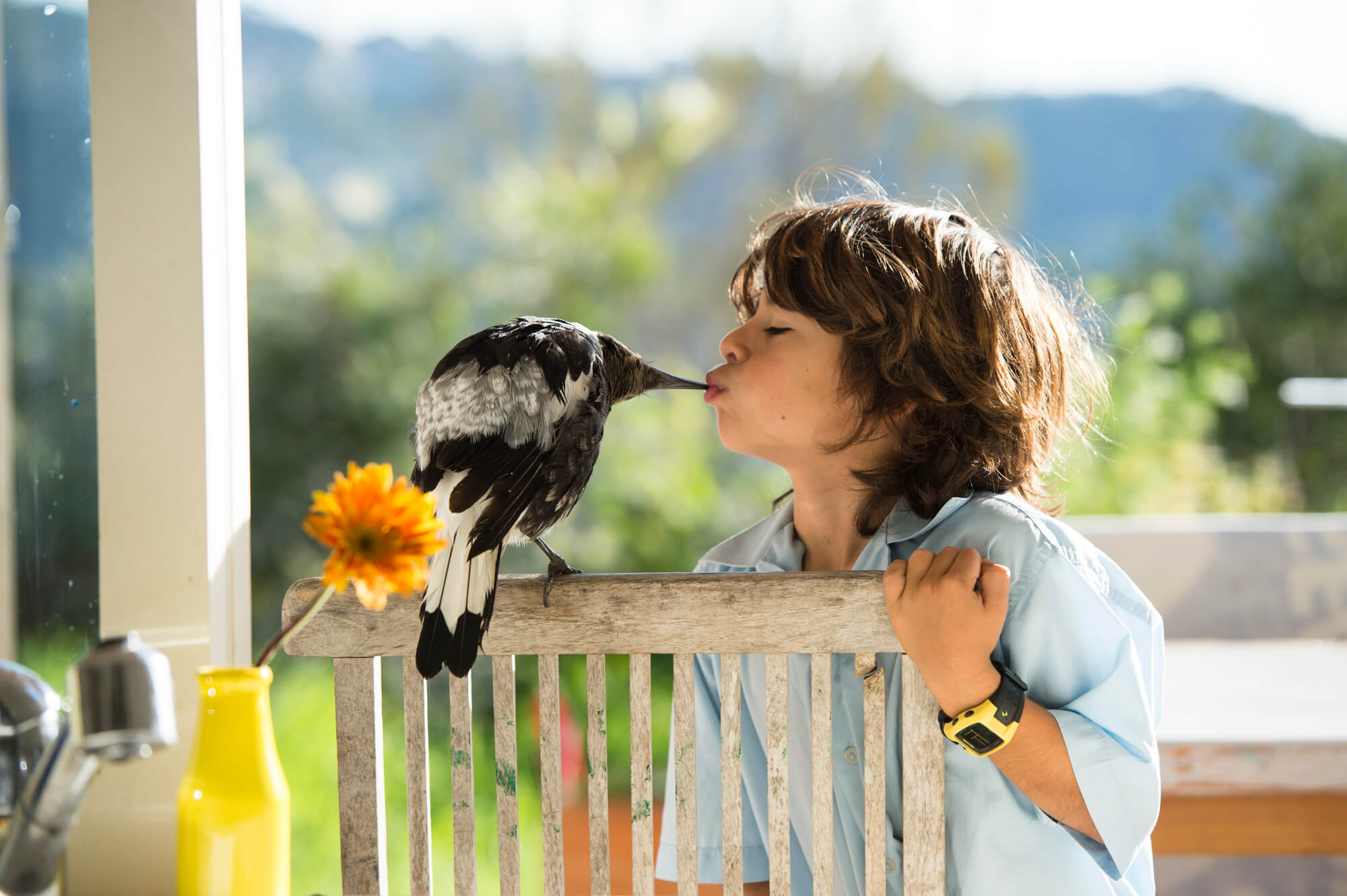Наблюдая за жизнью животных. Птицы для детей. Дети наблюдают за птицами. Наблюдение за птицами. Человек наблюдает за природой.