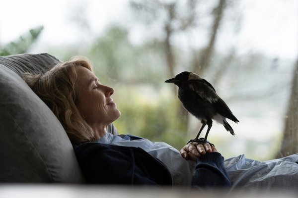 Naomi_Bird_Bed