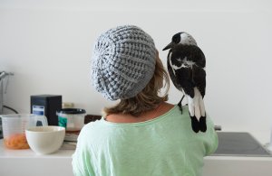 Sam Bloom Bird Penguin Shoulder