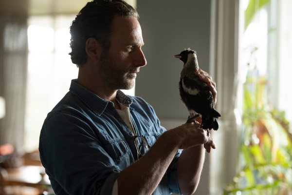 TheBIrdAndrew